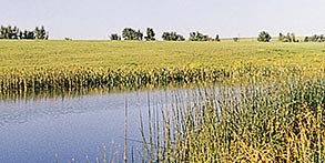 Conserved Water Resource